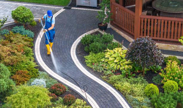 Best House Pressure Washing  in Saltville, VA